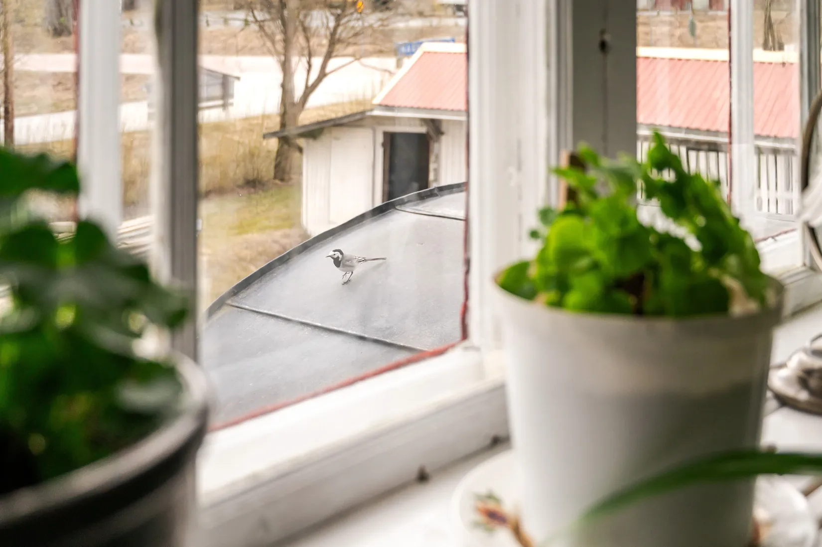 Villa, Nybyggarvägen 18, Torpshammar, Ånge