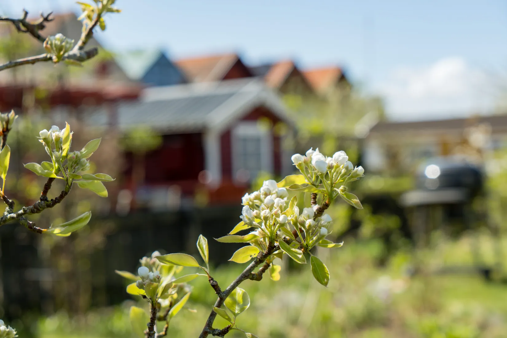 Fritidshus, Gottes väg 4, Koloniföreningen Fredriksdal Västra koloni nr 4, Fredriksdal, Helsingborg