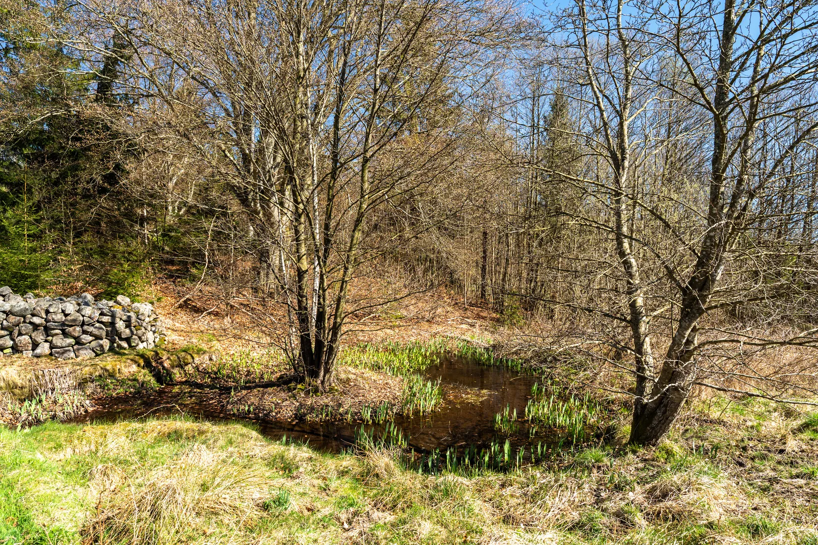 Gård/Skog, Postridarens väg 160, Simontorp, Hjärnarp, Ängelholm