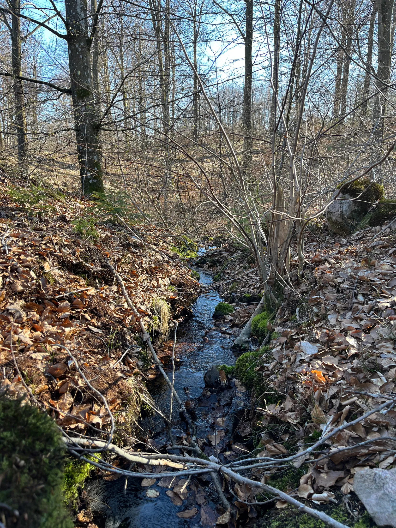 Gård/Skog, Postridarens väg 160, Simontorp, Hjärnarp, Ängelholm