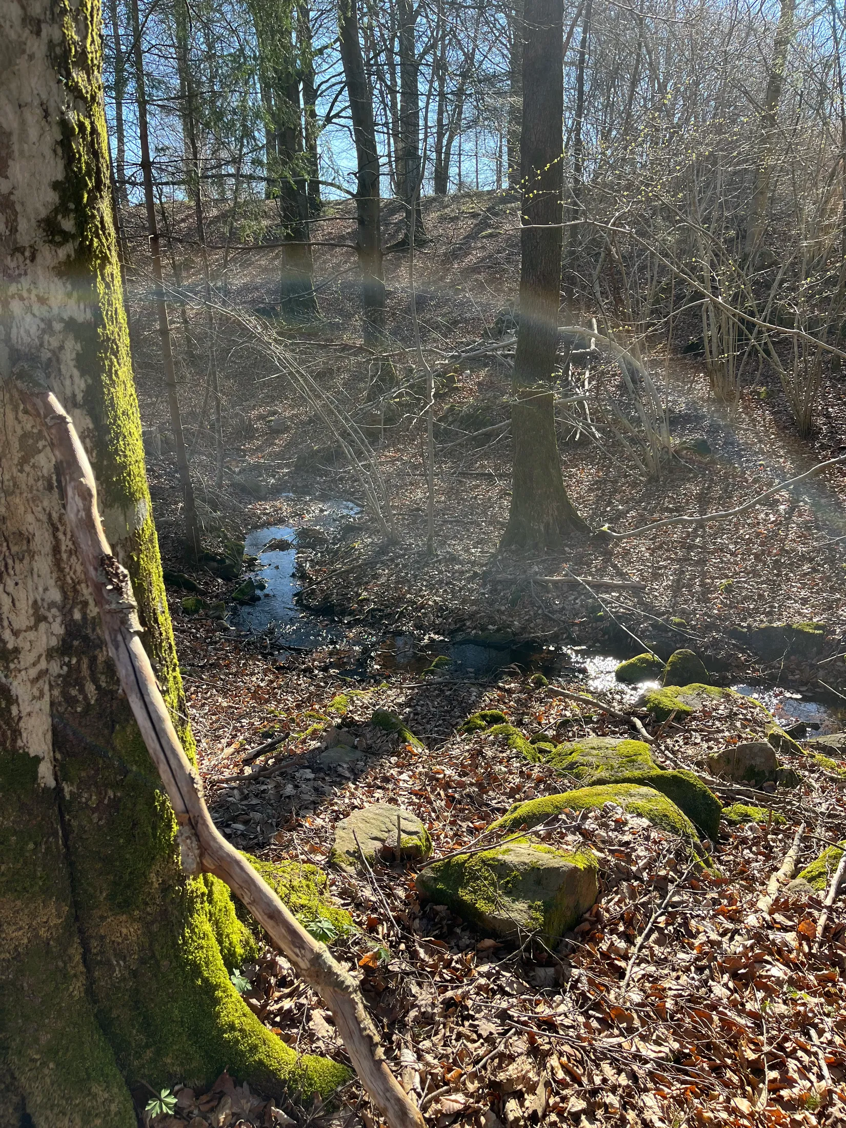 Gård/Skog, Postridarens väg 160, Simontorp, Hjärnarp, Ängelholm