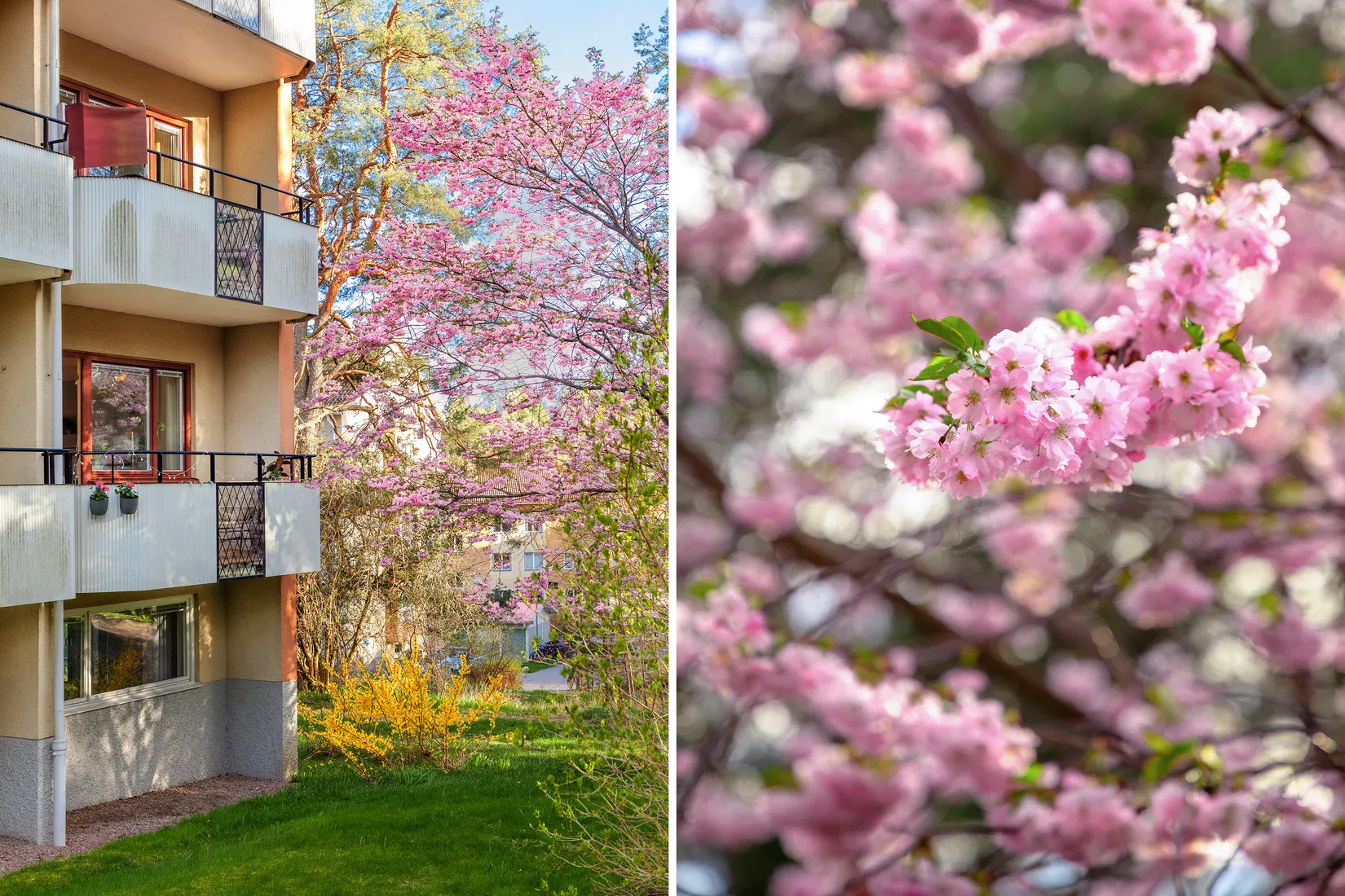 Bostadsrätt, Rosenkällavägen 28D, Fågelbo, Nyköping