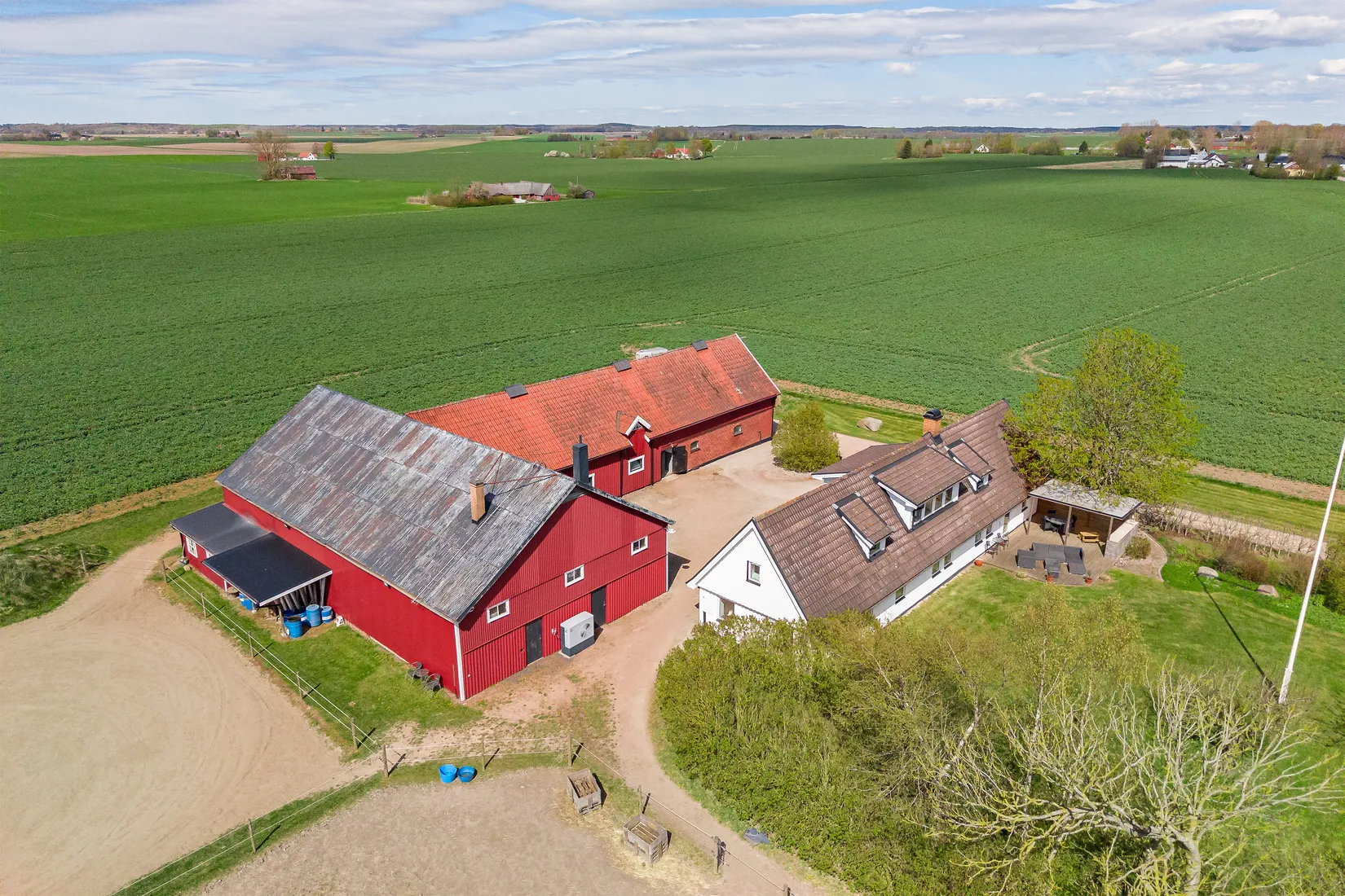 Gård/Skog, Högestorp 1424, Eslöv