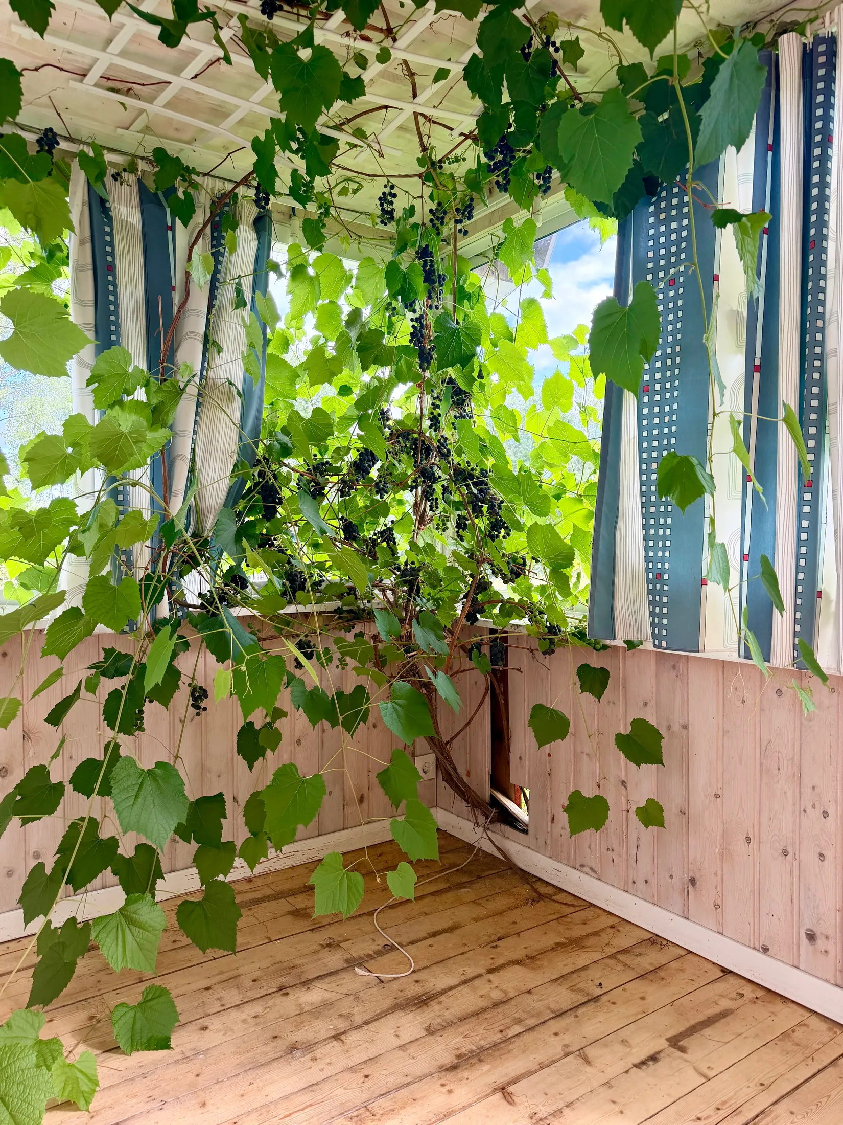 Gård/Skog, Uland 436, Gussjöbygden, Härnösand