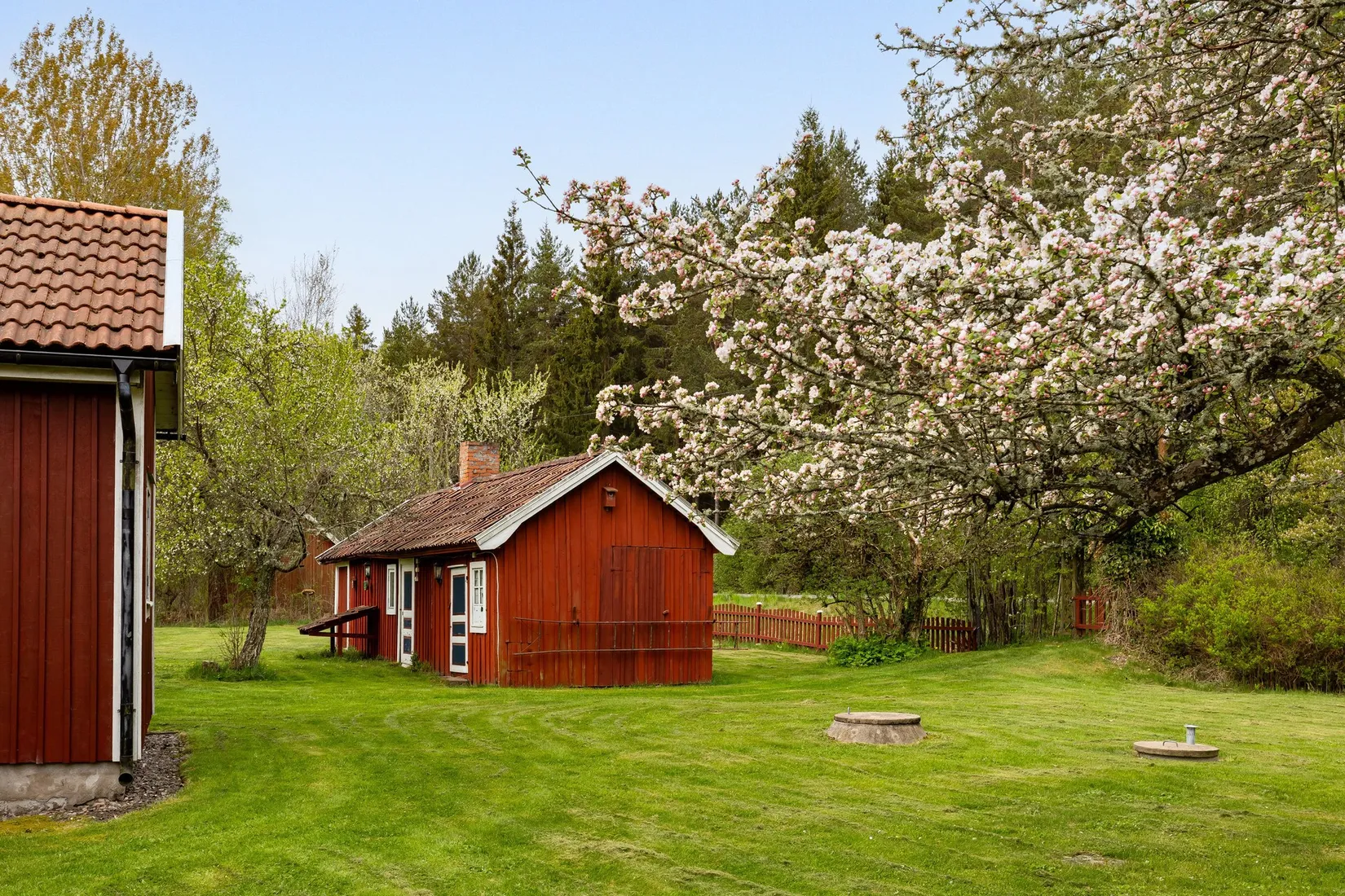 Gård/Skog, Skårebo 118, Skårebo, Nybro