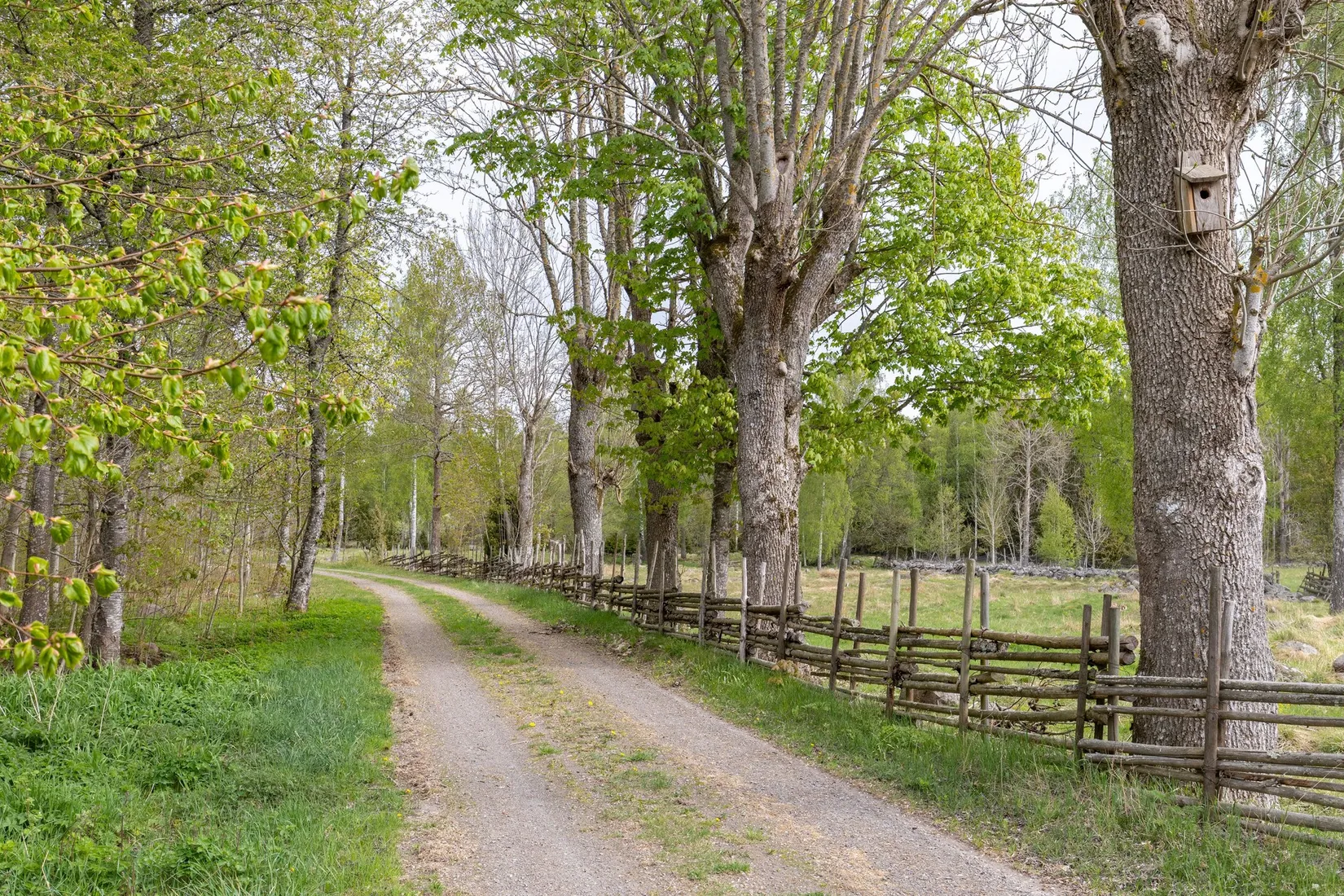 Gård/Skog, Skårebo 118, Skårebo, Nybro