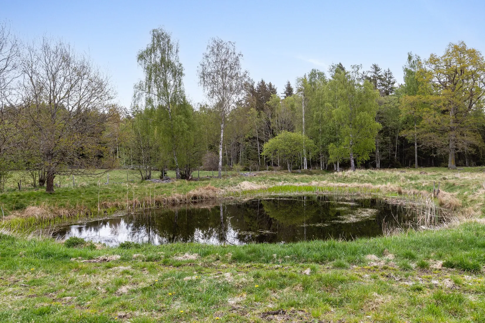 Gård/Skog, Skårebo 118, Skårebo, Nybro