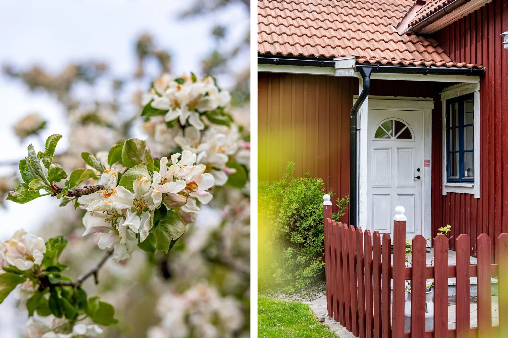 Gård/Skog, Skårebo 118, Skårebo, Nybro