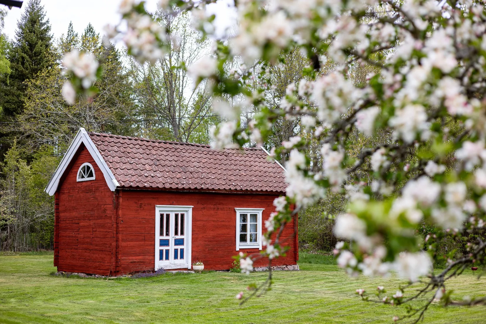 Gård/Skog, Skårebo 118, Skårebo, Nybro