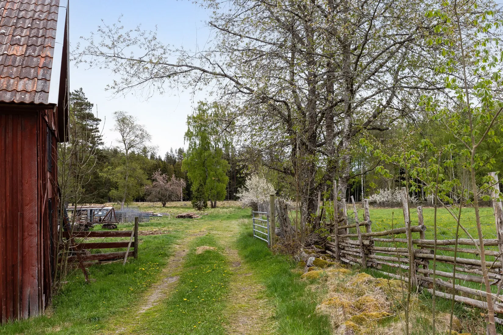 Gård/Skog, Skårebo 118, Skårebo, Nybro