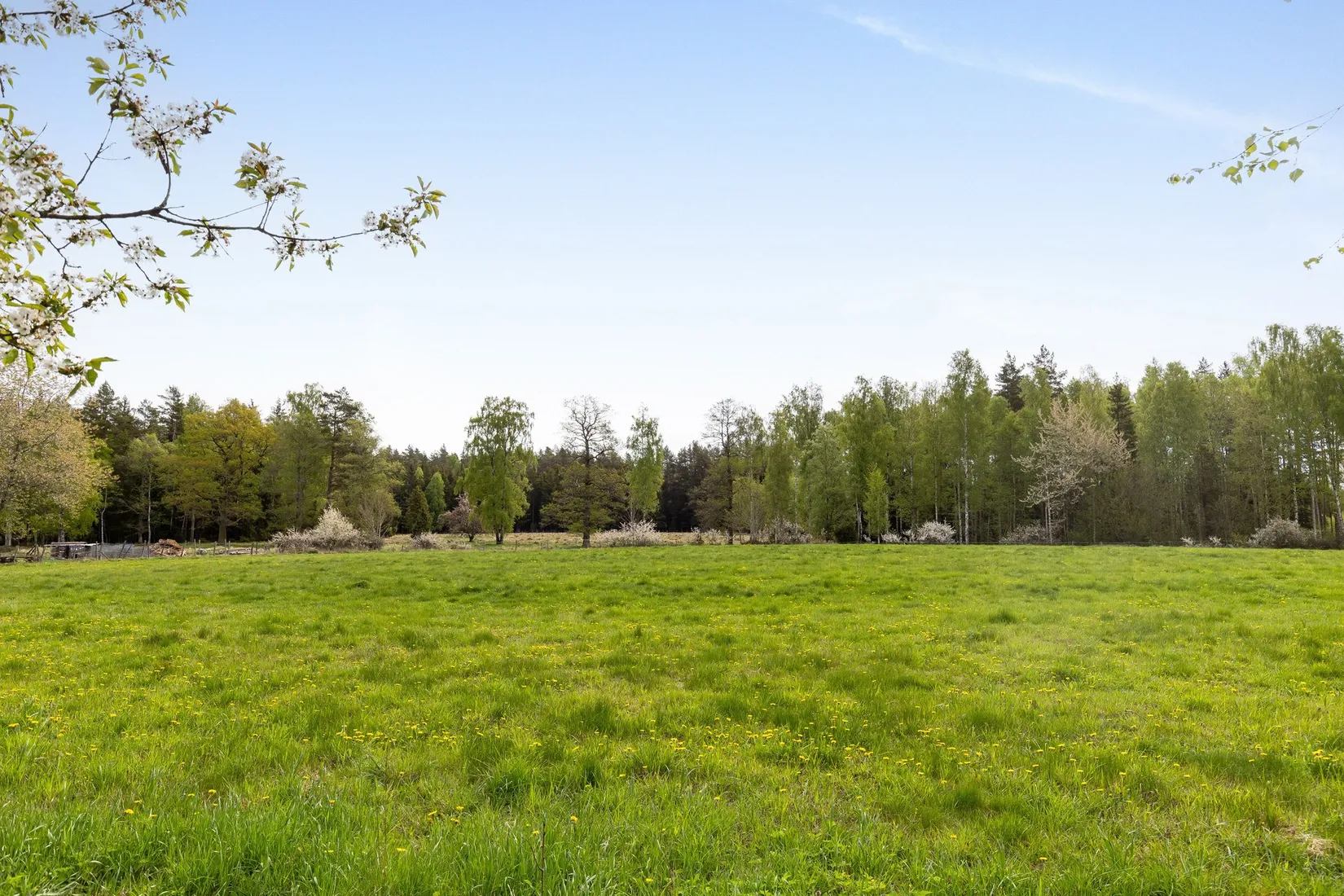 Gård/Skog, Skårebo 118, Skårebo, Nybro