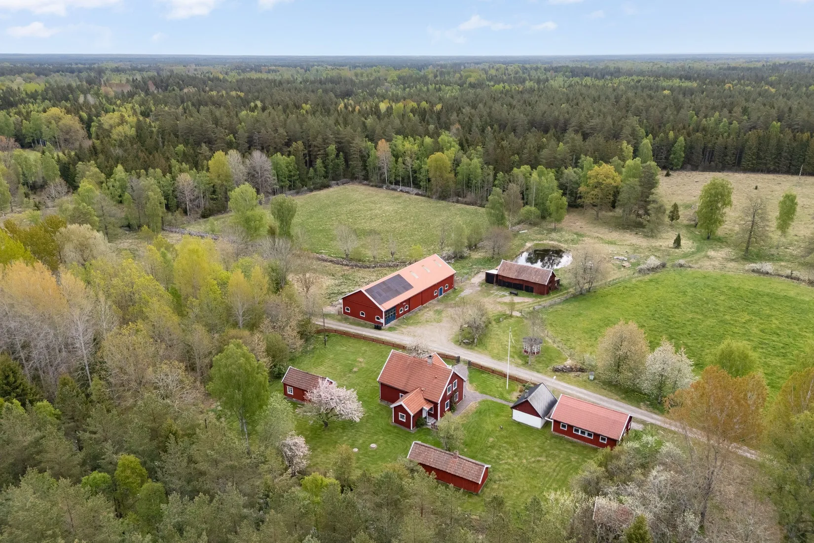 Gård/Skog, Skårebo 118, Skårebo, Nybro