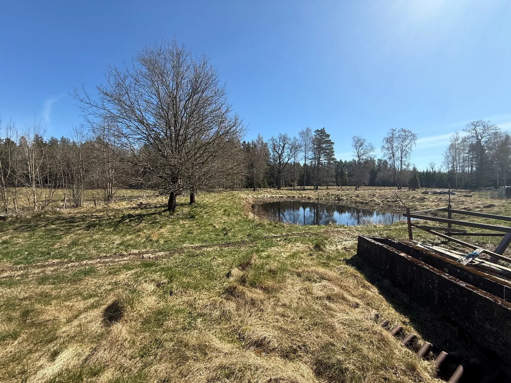 Gård/Skog, Skårebo 118, Skårebo, Nybro