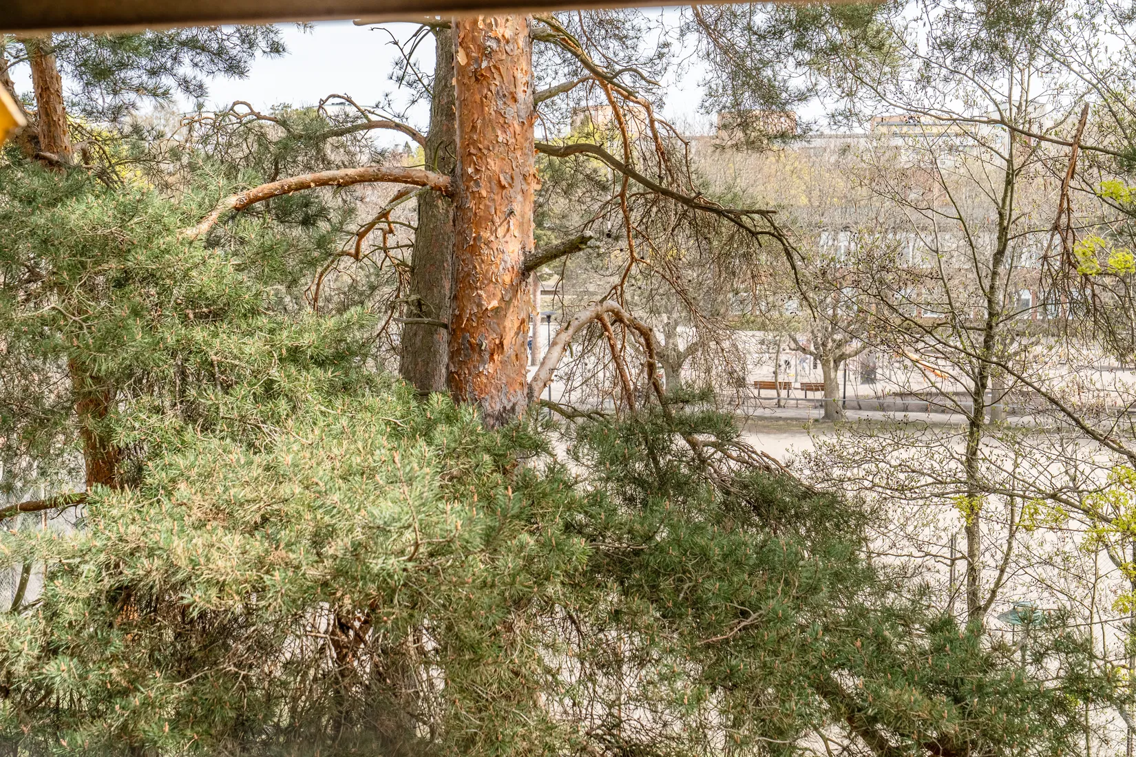 Bostadsrätt, Stjärnsundsgatan 11, Hagsätra, Stockholm