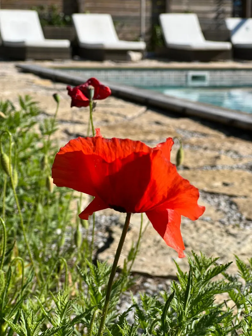 Villa, Östergarn Rodarve 927, Östergarn, Gotland
