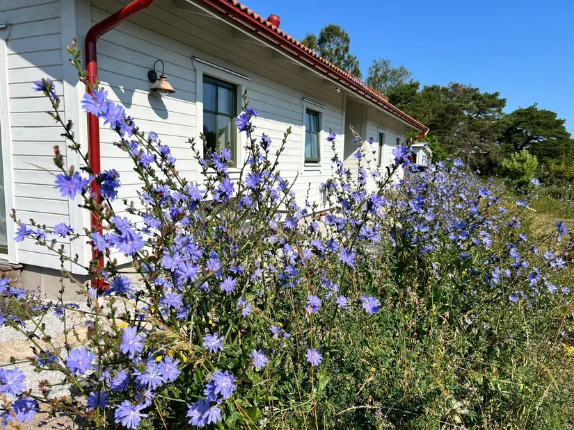 Villa, Östergarn Rodarve 927, Östergarn, Gotland