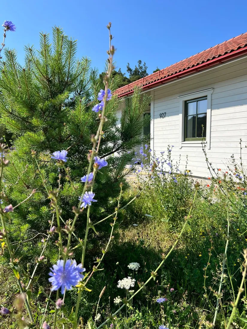 Villa, Östergarn Rodarve 927, Östergarn, Gotland