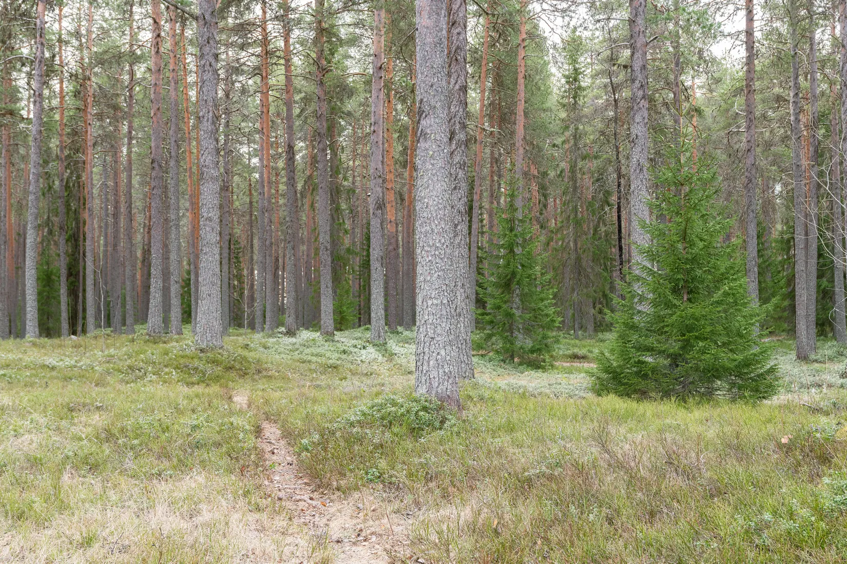 Villa, Nyåkersvägen 49, Södra Sunderbyn, Luleå