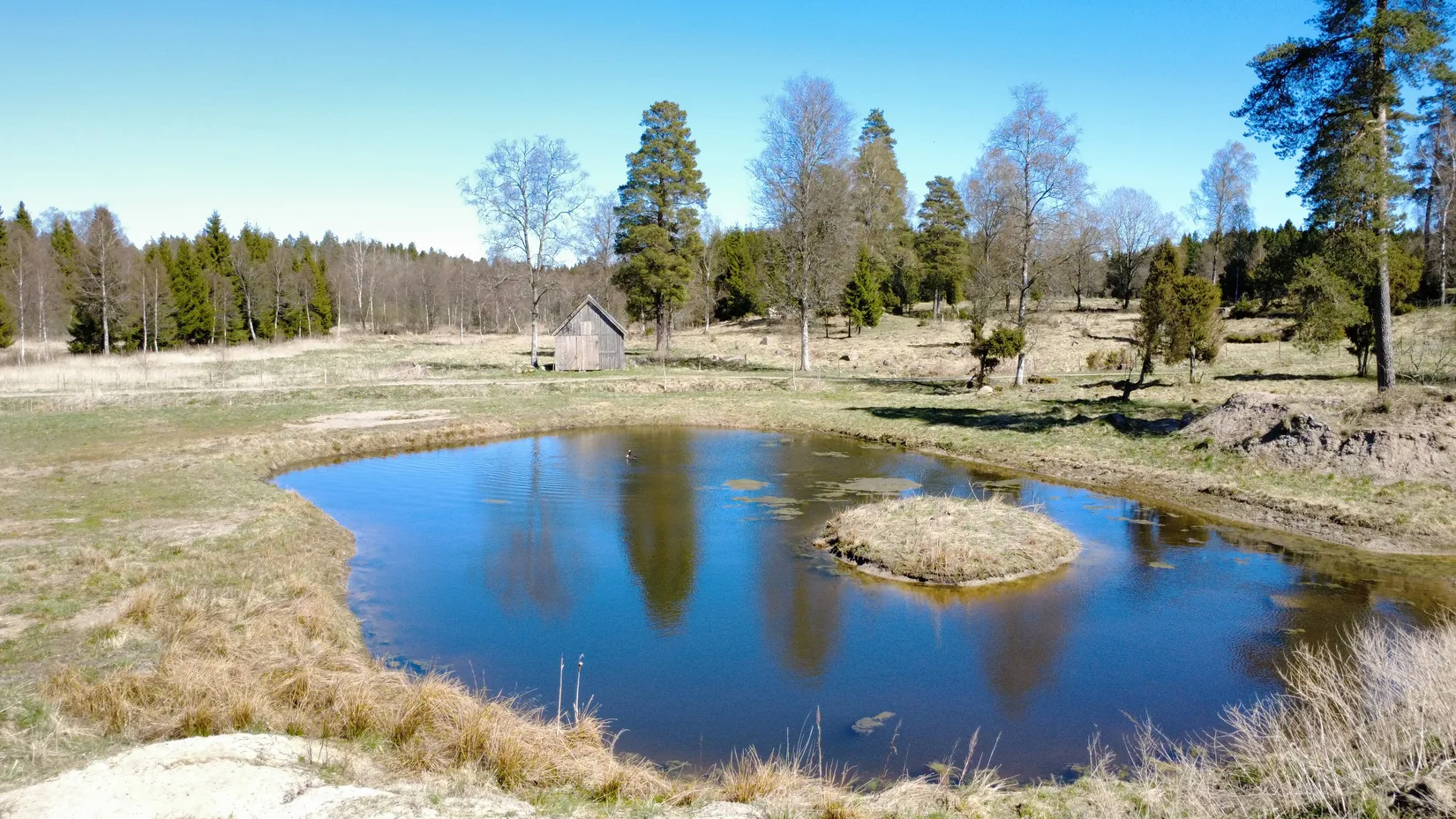 Gård/Skog, Brismene Skansen, Brismene, Falköping