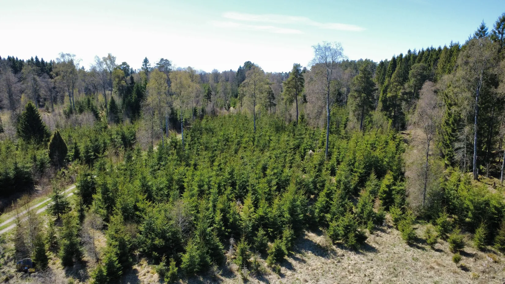 Gård/Skog, Brismene Skansen, Brismene, Falköping