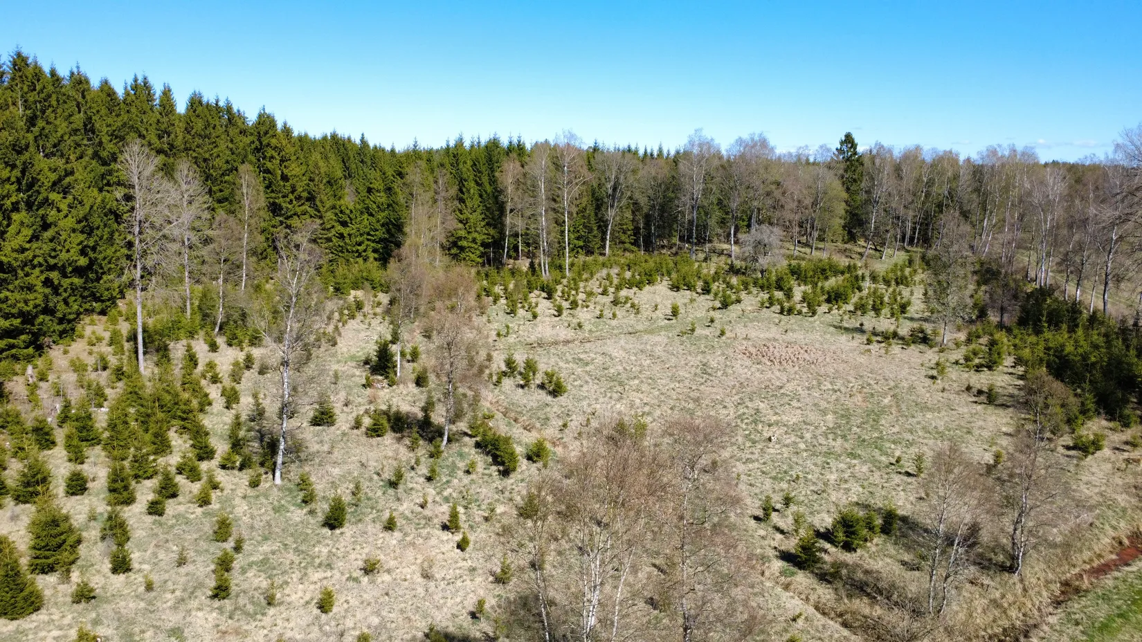 Gård/Skog, Brismene Skansen, Brismene, Falköping