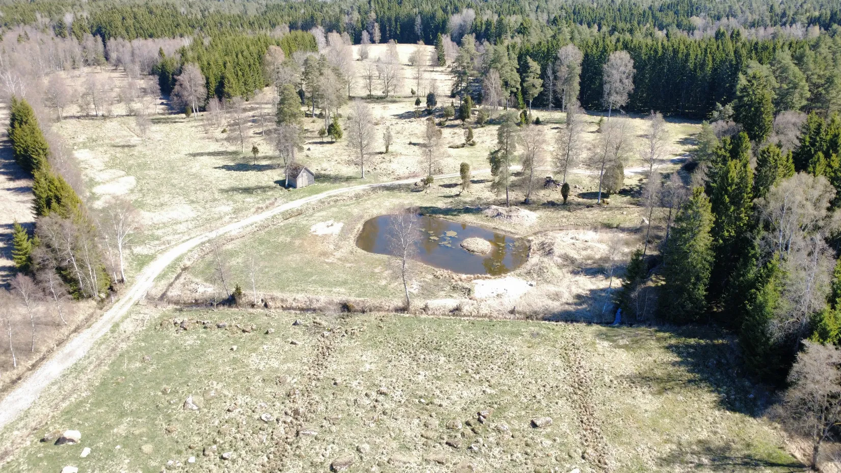 Gård/Skog, Brismene Skansen, Brismene, Falköping