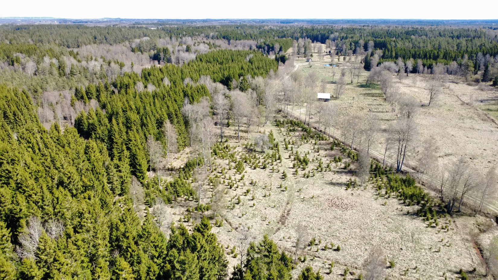 Gård/Skog, Brismene Skansen, Brismene, Falköping