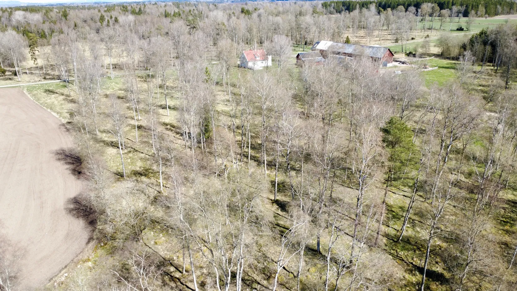 Gård/Skog, Brismene Skansen, Brismene, Falköping