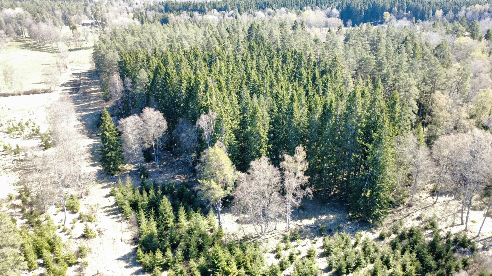 Gård/Skog, Brismene Skansen, Brismene, Falköping