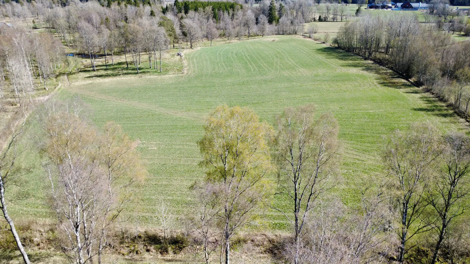 Gård/Skog, Brismene Skansen, Brismene, Falköping