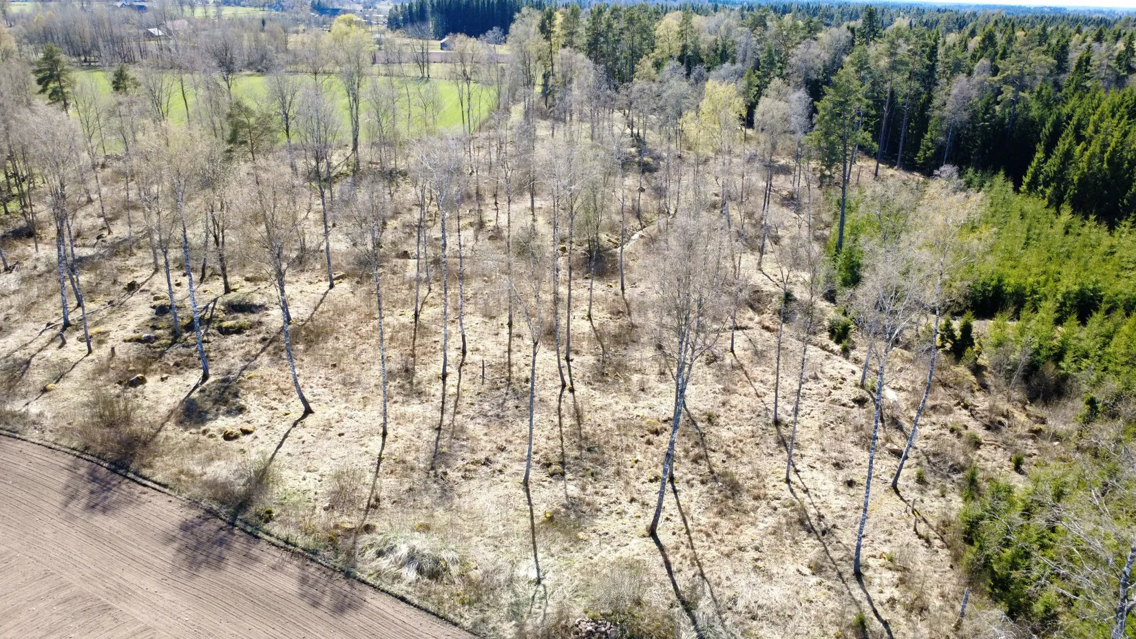Gård/Skog, Brismene Skansen, Brismene, Falköping