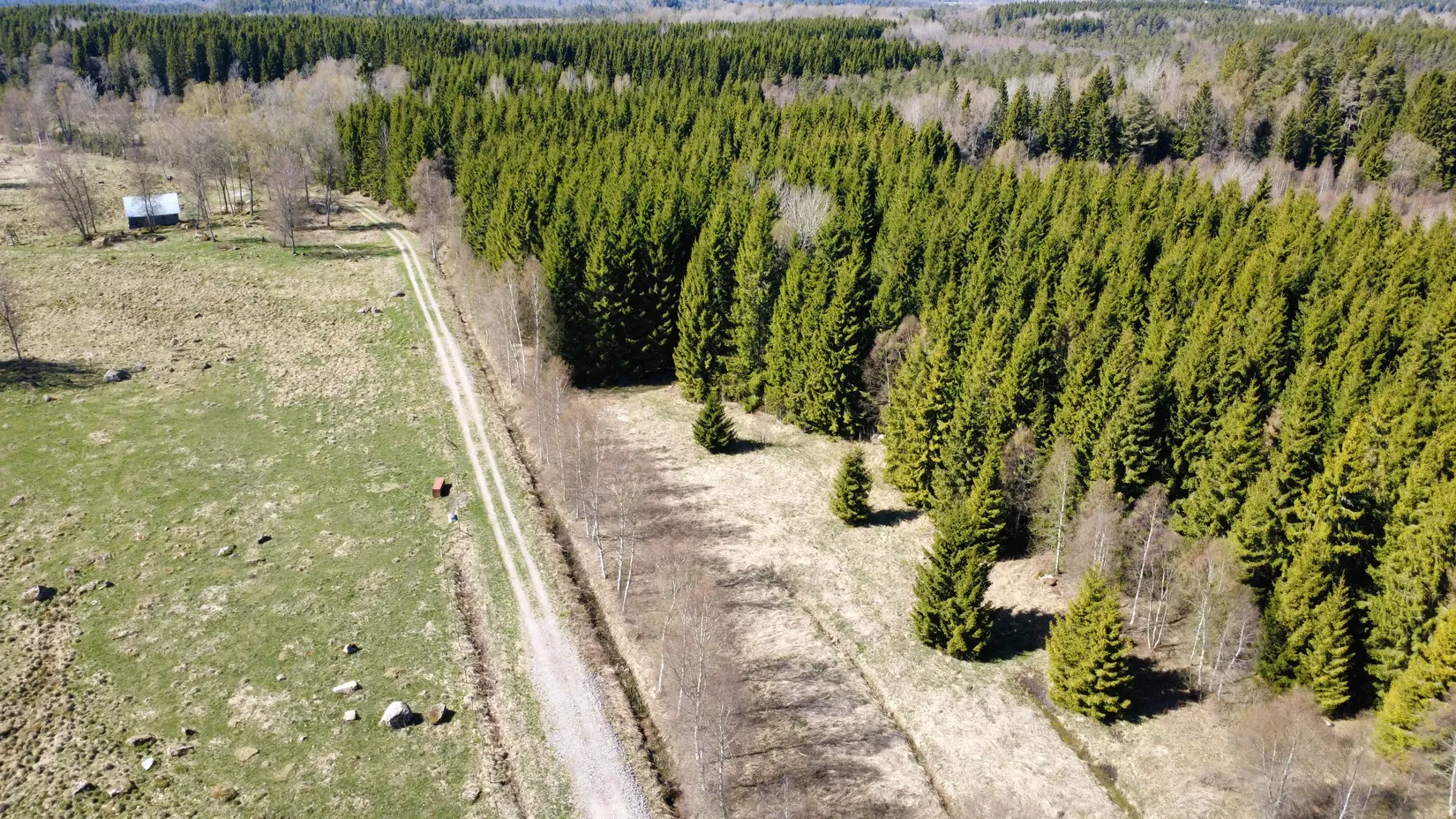 Gård/Skog, Brismene Skansen, Brismene, Falköping