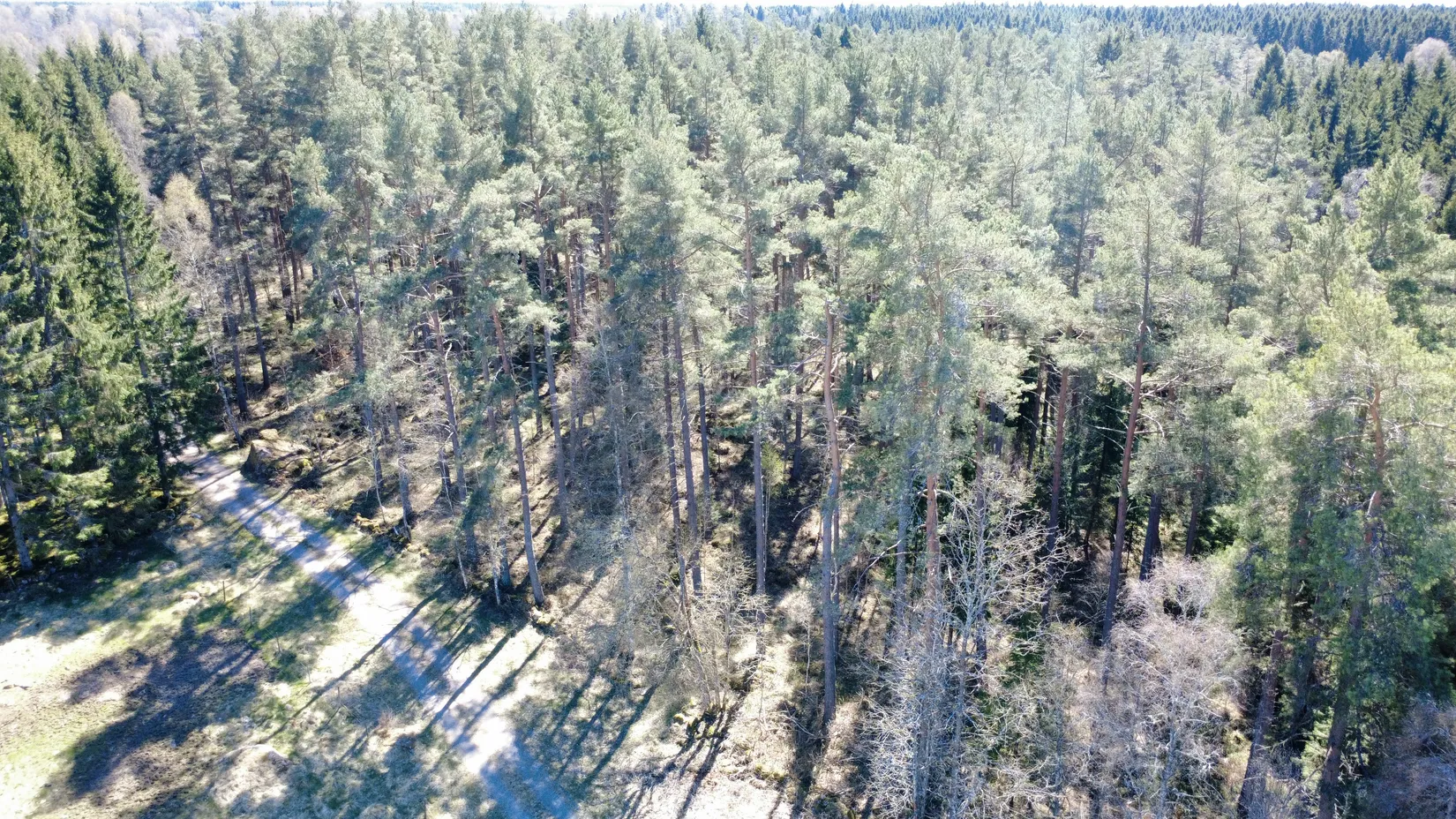 Gård/Skog, Brismene Skansen, Brismene, Falköping