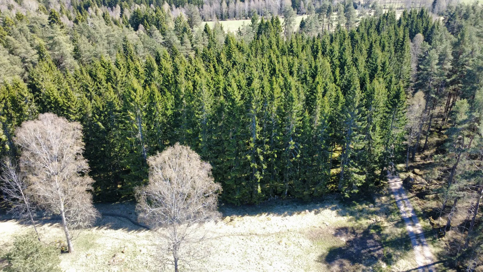 Gård/Skog, Brismene Skansen, Brismene, Falköping
