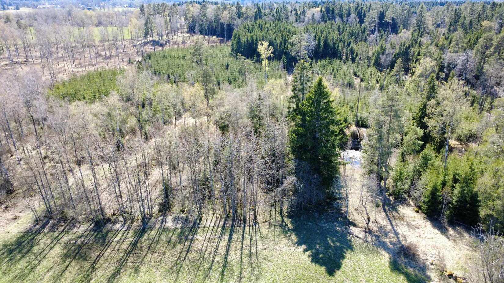 Gård/Skog, Brismene Skansen, Brismene, Falköping