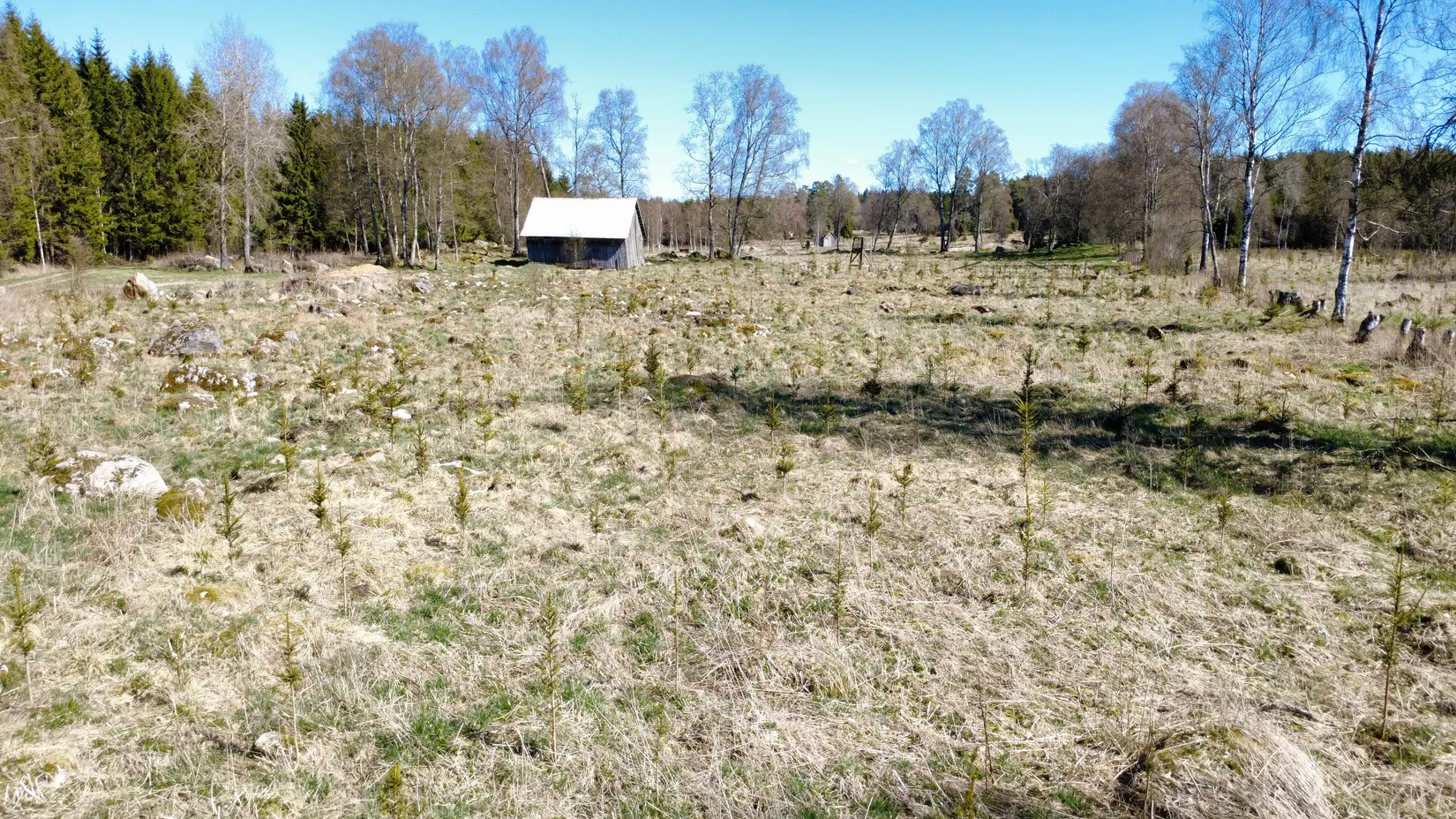 Gård/Skog, Brismene Skansen, Brismene, Falköping