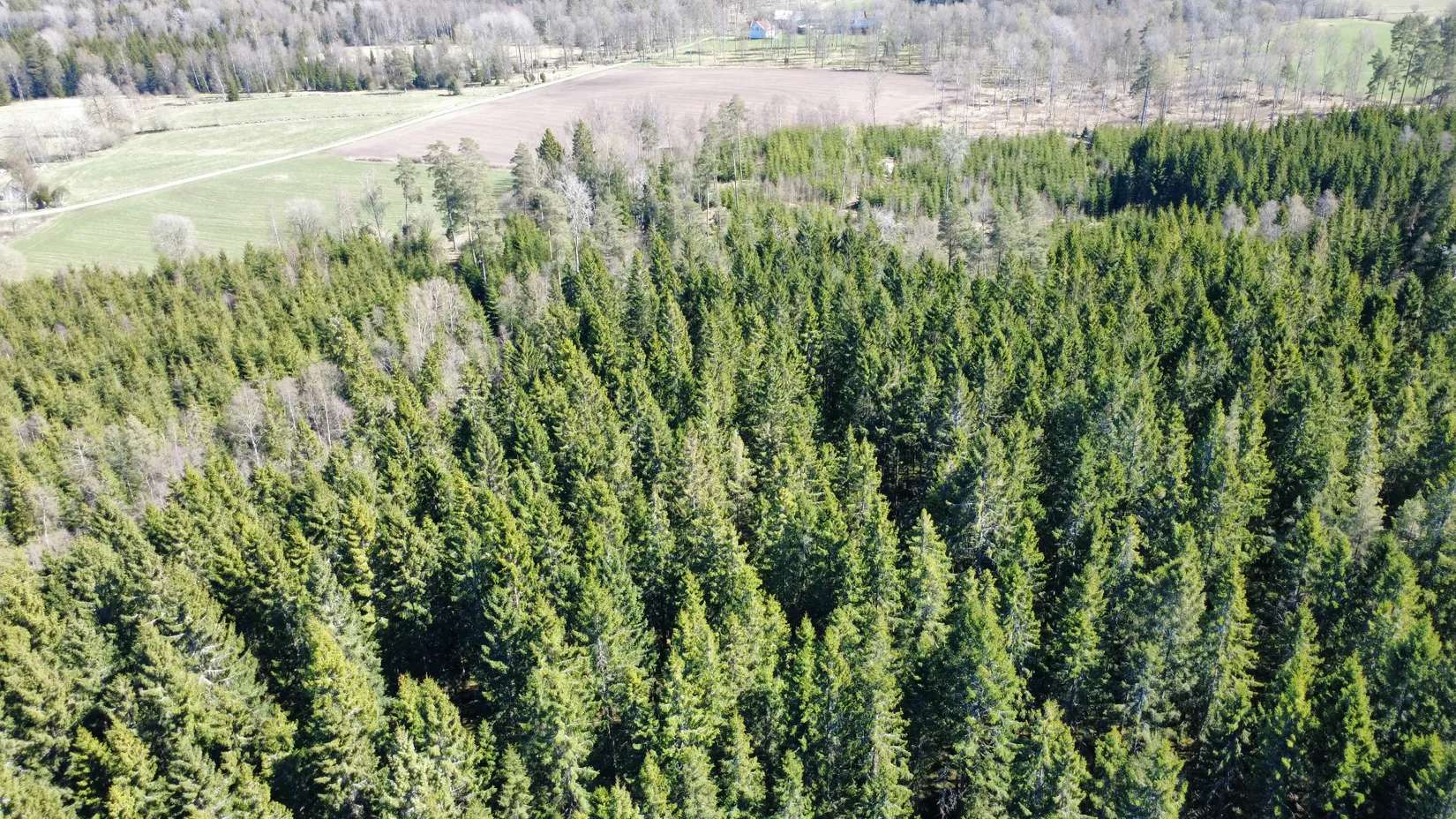 Gård/Skog, Brismene Skansen, Brismene, Falköping