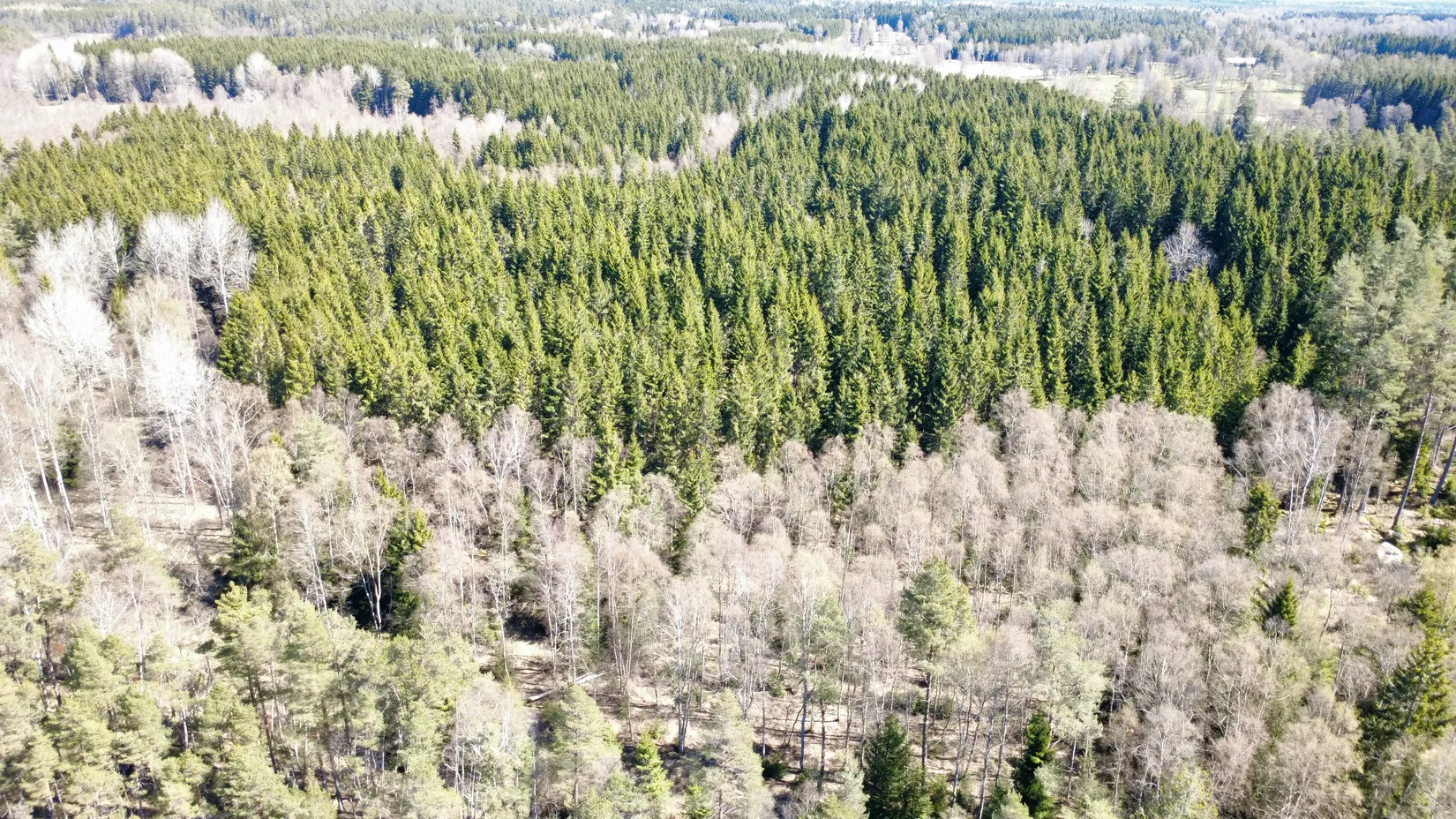 Gård/Skog, Brismene Skansen, Brismene, Falköping