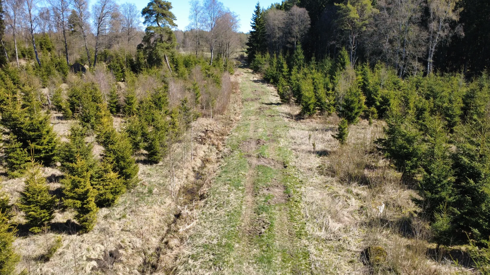 Gård/Skog, Brismene Skansen, Brismene, Falköping