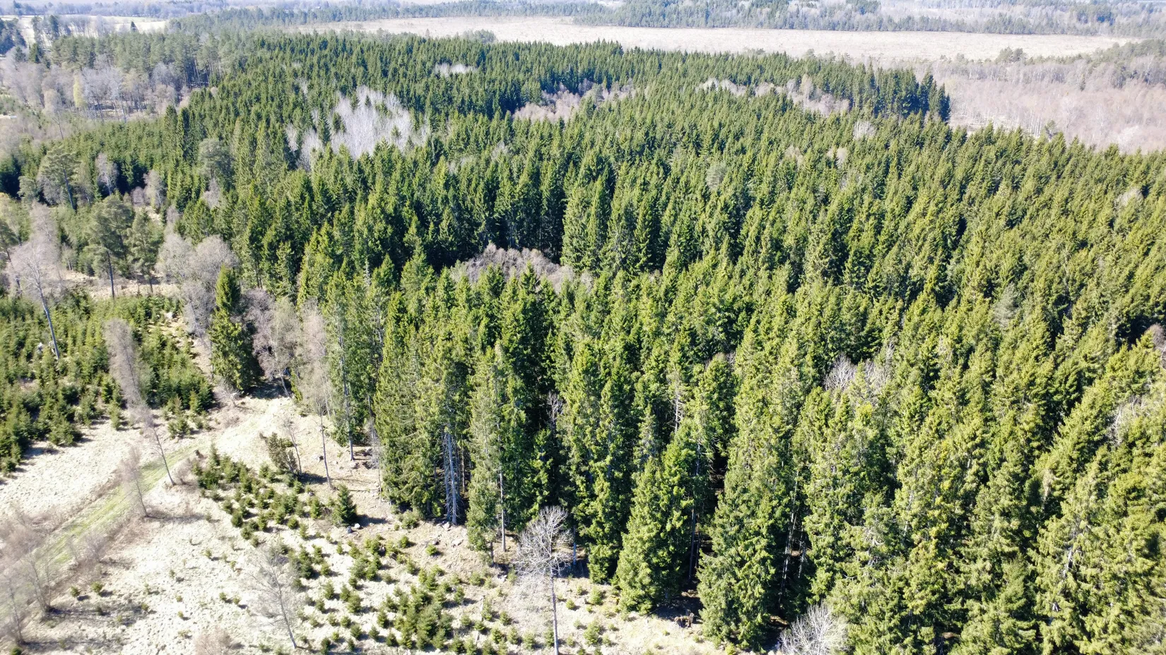 Gård/Skog, Brismene Skansen, Brismene, Falköping