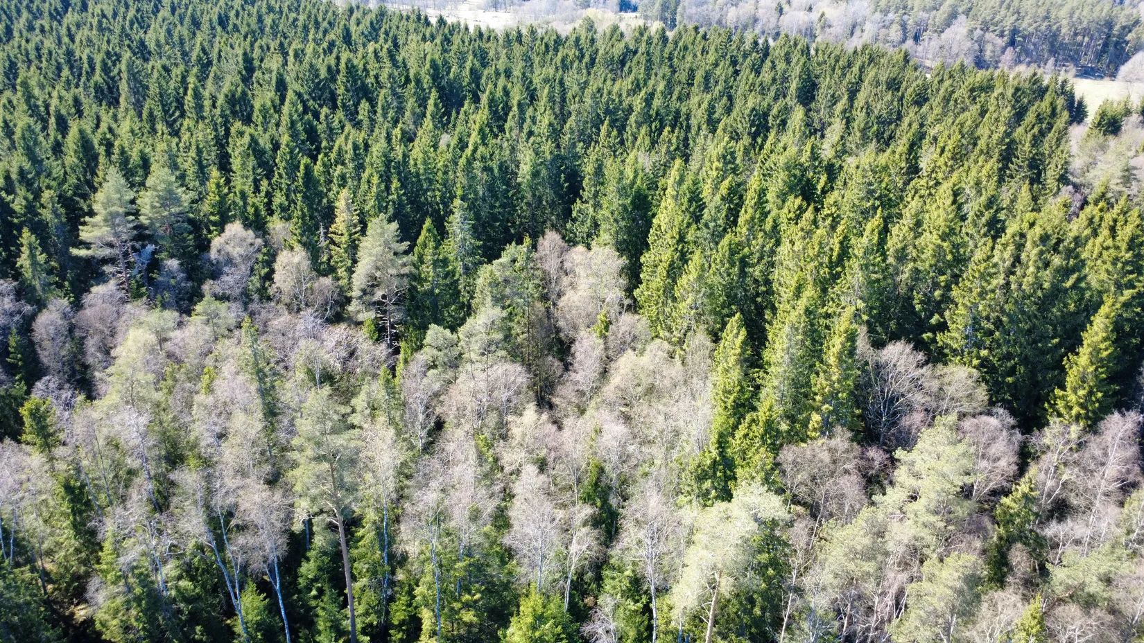 Gård/Skog, Brismene Skansen, Brismene, Falköping