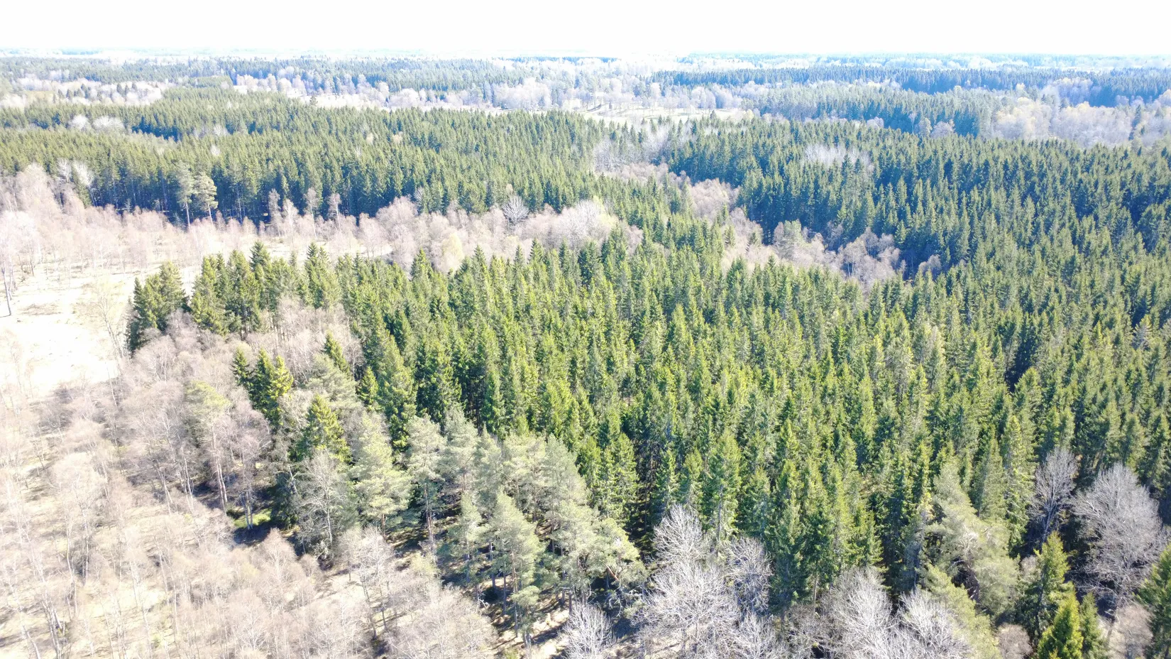 Gård/Skog, Brismene Skansen, Brismene, Falköping
