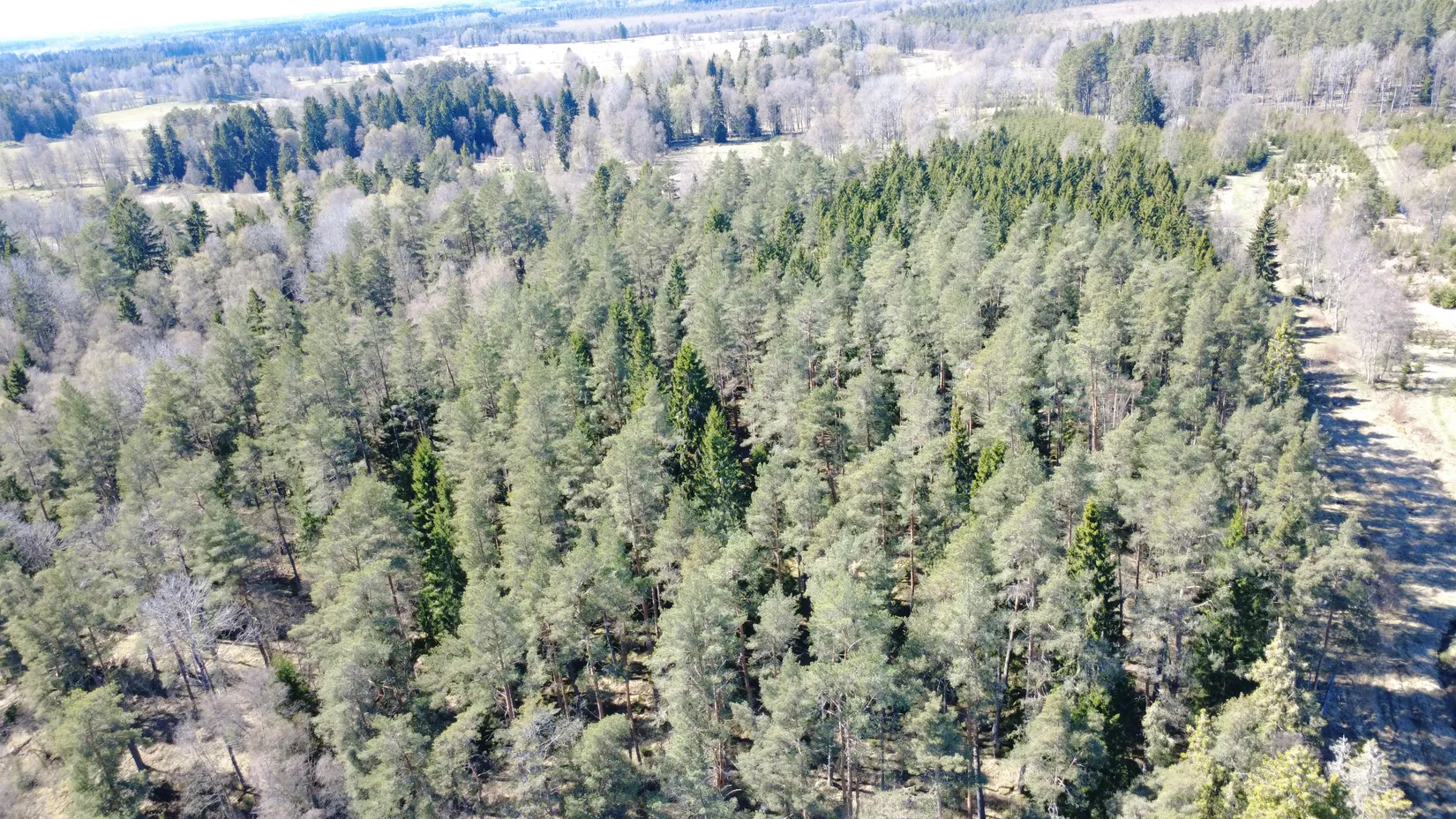 Gård/Skog, Brismene Skansen, Brismene, Falköping