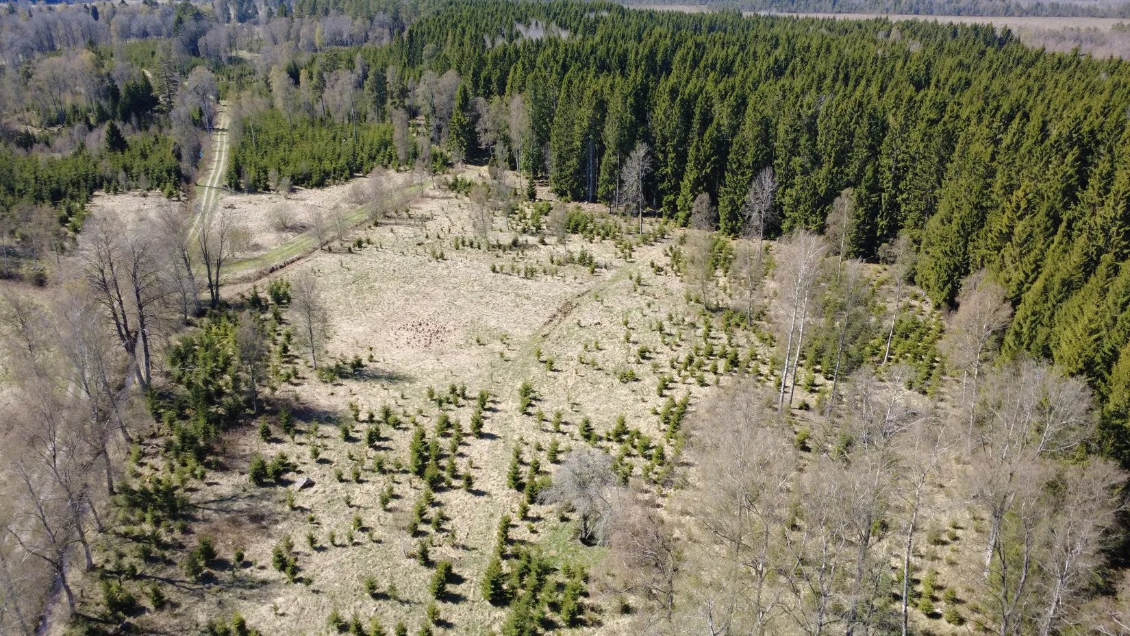 Gård/Skog, Brismene Skansen, Brismene, Falköping