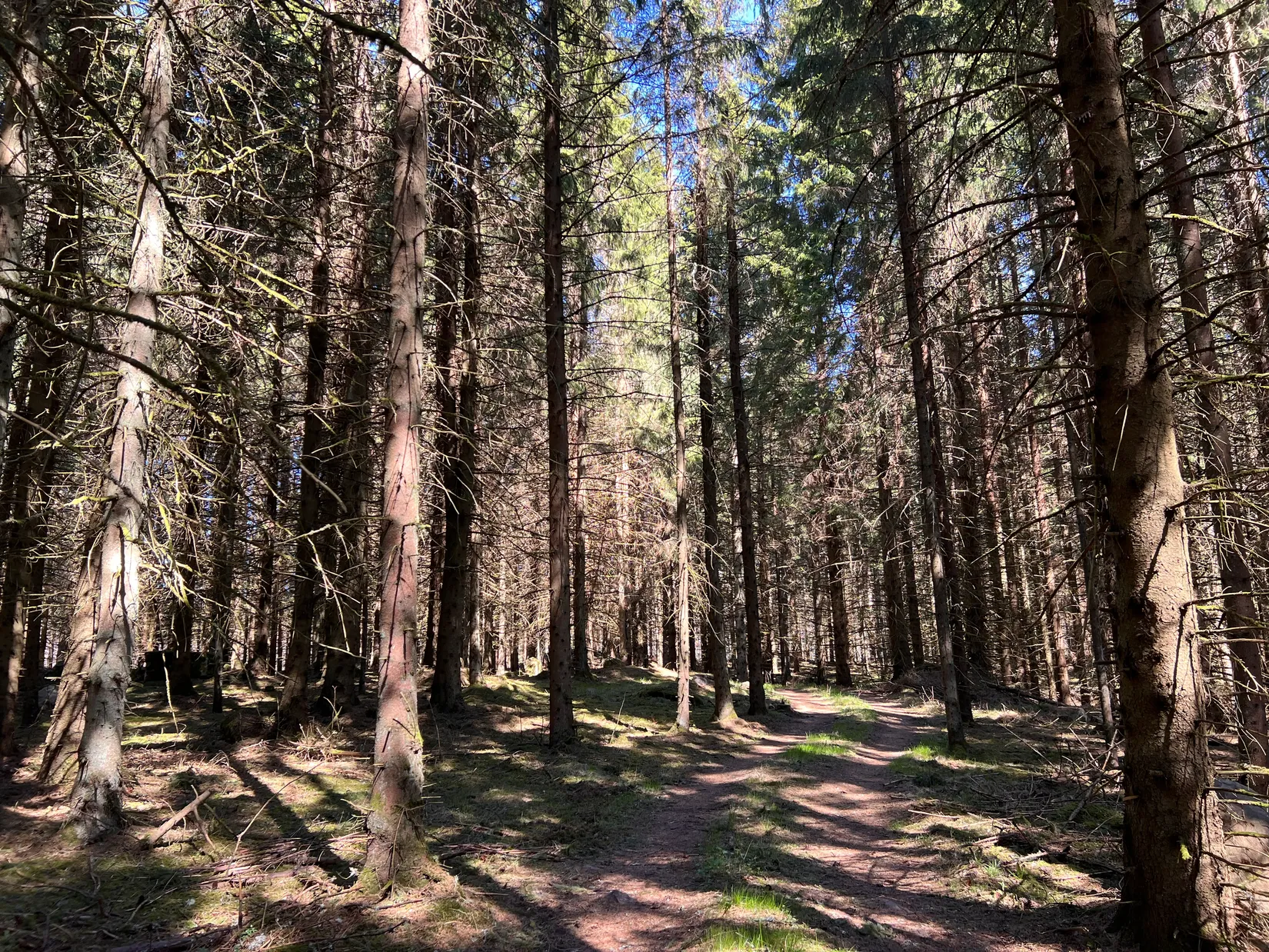 Gård/Skog, Brismene Skansen, Brismene, Falköping