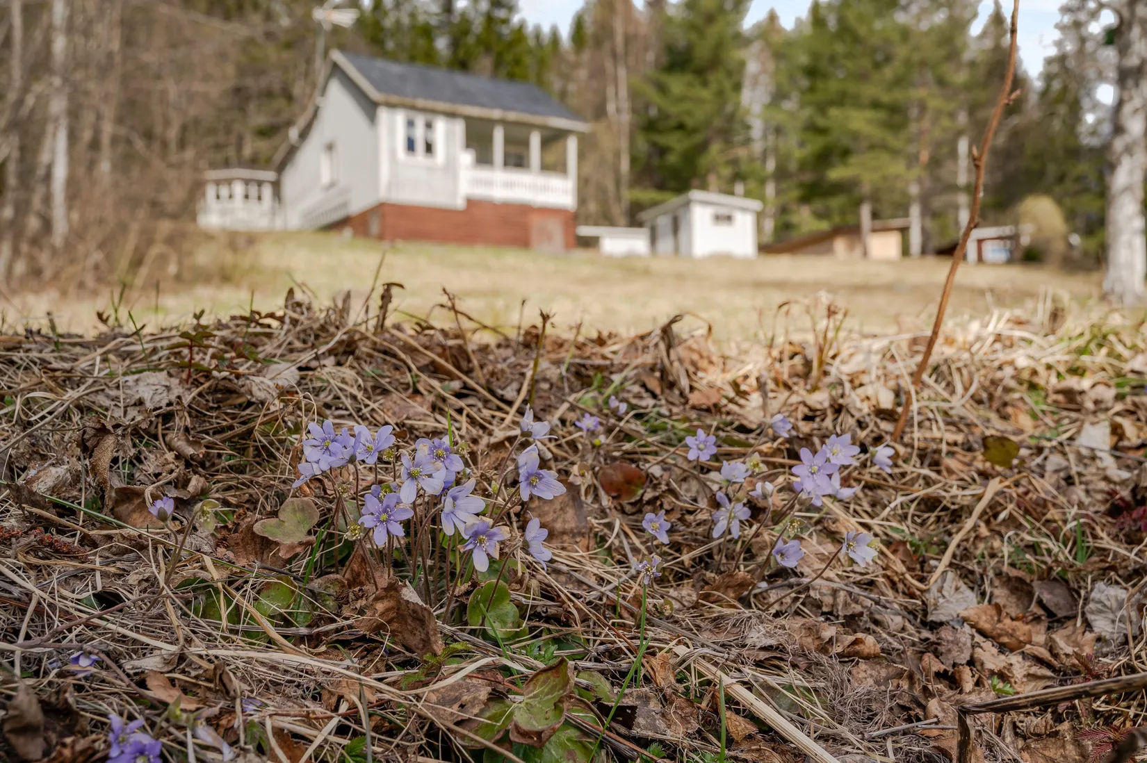 Fritidshus, Kälen 490, Ånge