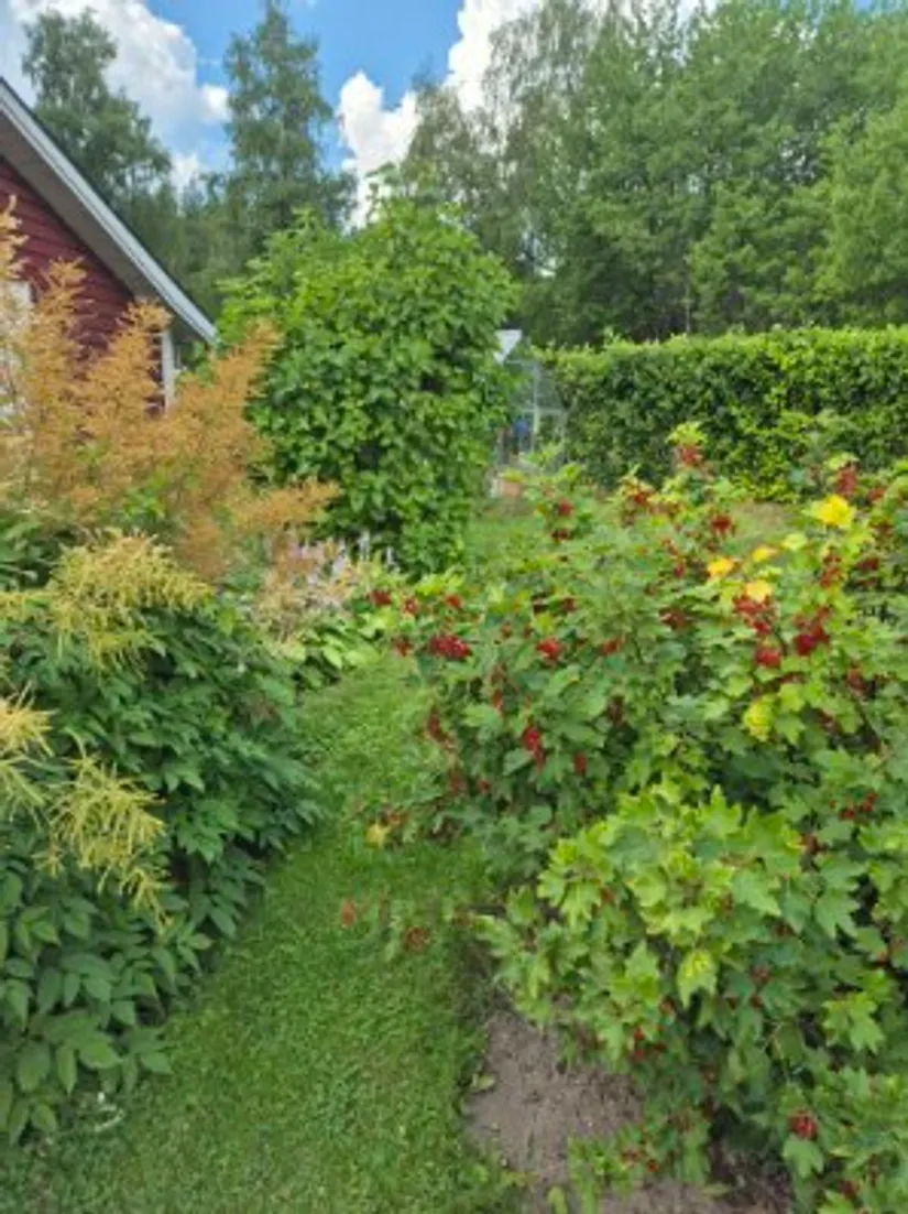 Fritidshus, Klintvägen 343, Tunabackar, Uppsala