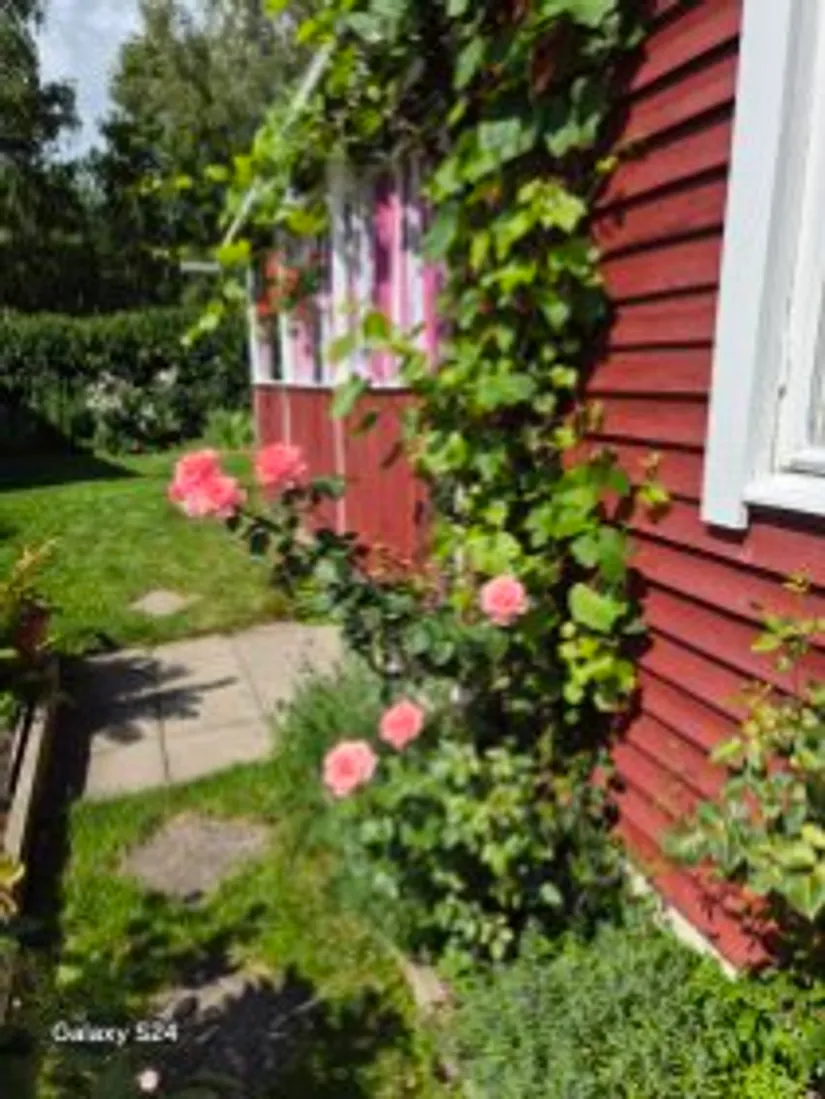 Fritidshus, Klintvägen 343, Tunabackar, Uppsala