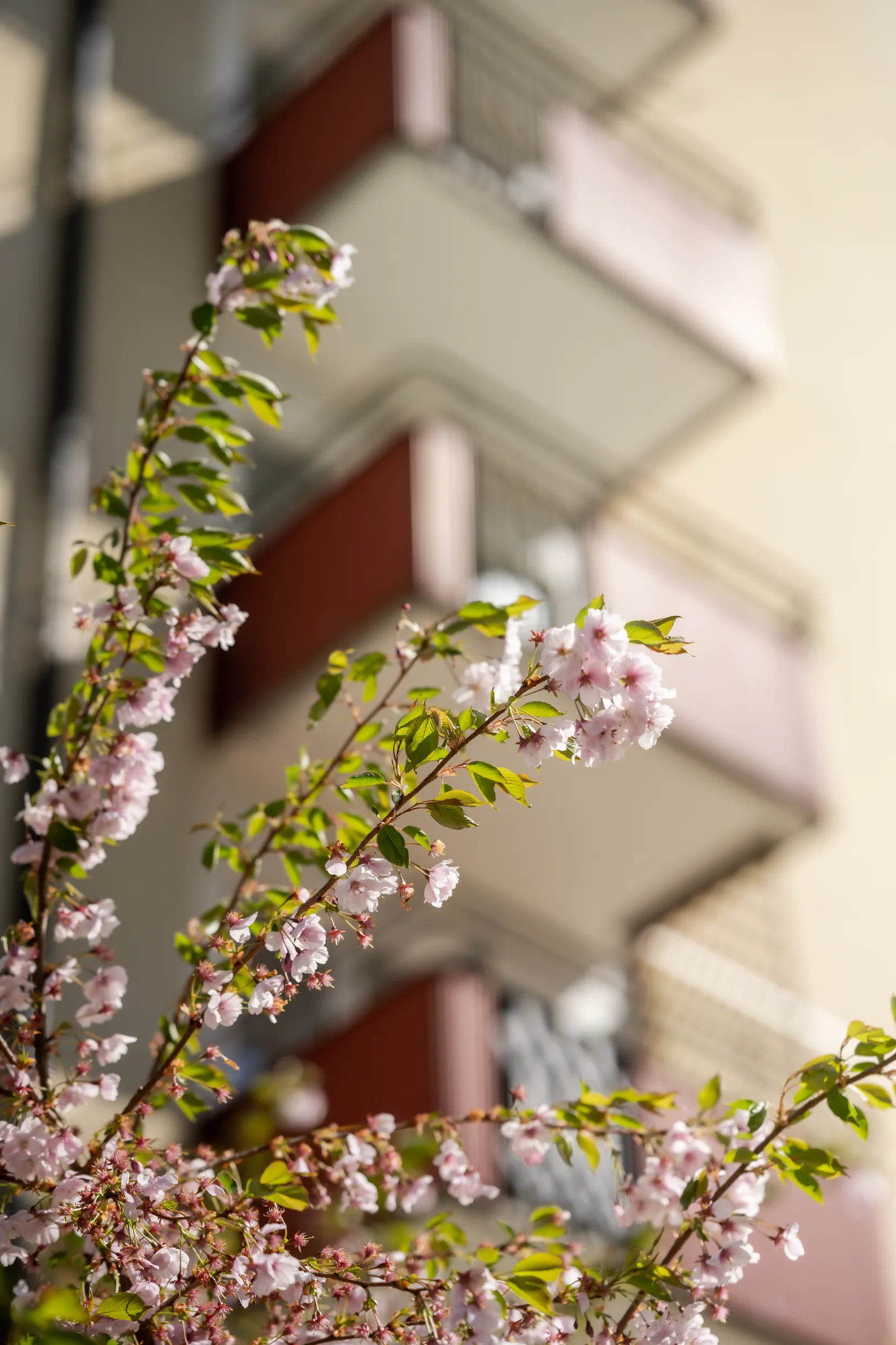 Bostadsrätt, Lindormsgatan 35, Sjöbo, Borås