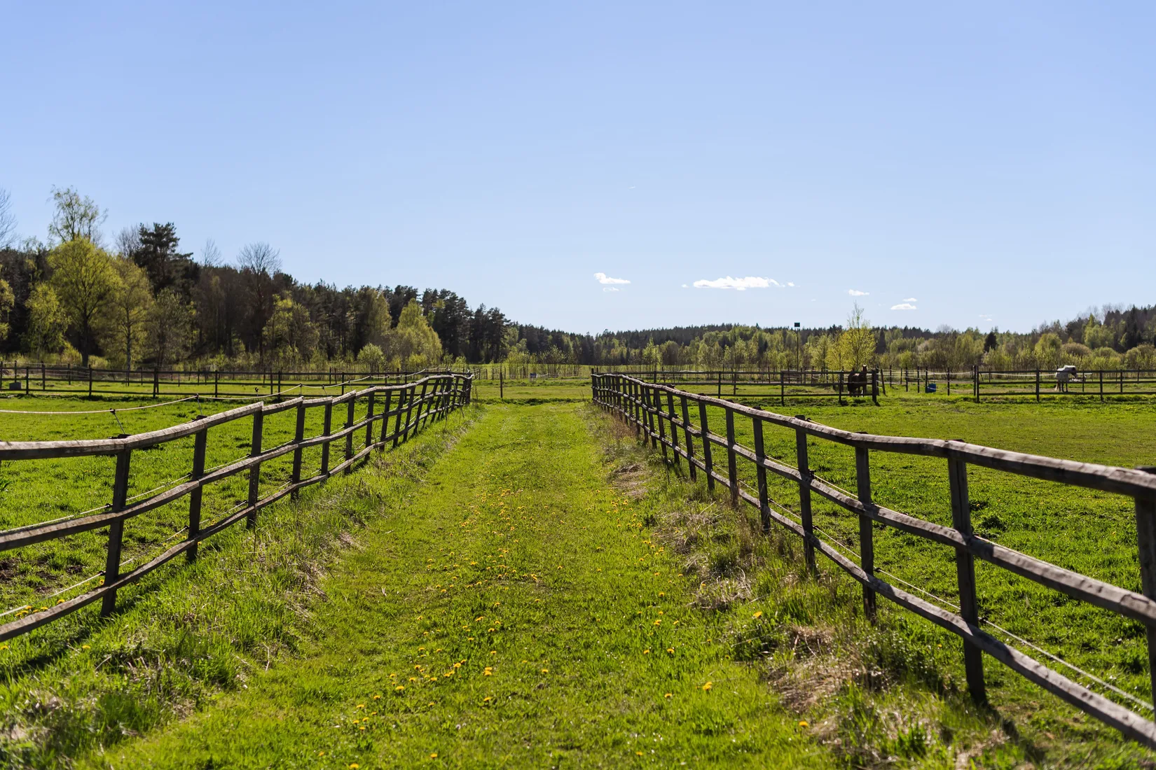 Gård/Skog, Gullstigen Rosenlund 1, Boxholm